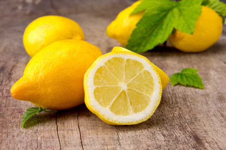 Can Dogs Eat Lemons? How About Lemon Juice?