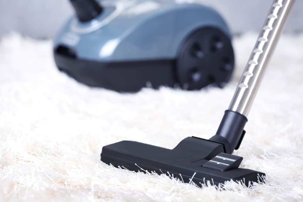 Best Canister Vacuum For Pet Hair