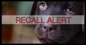 Two More Dog Food Companies Make The FDA Recall List