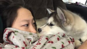 Dogs Waking Up Owners: TRY NOT TO LAUGH