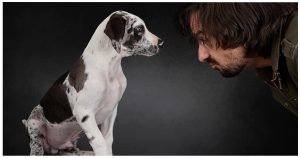 12 Things People Do That Annoy The Heck Out Of Dogs