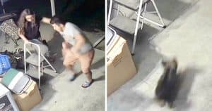 Couple & Dog Run After Seeing Spooky Frog, But Dog Bravely Goes Back For His Toy
