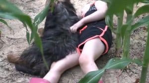 Teams Couldn’t Find A Lost Toddler In A Cornfield, So The Family Dog Had To Step In