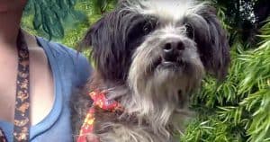 He Lived A Life Of Sorrow On The Streets, But Fate Led Him Down A Royal Path