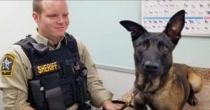 K9 Rejoins His Worried Handler After He Was Spooked By Fireworks & Went Missing