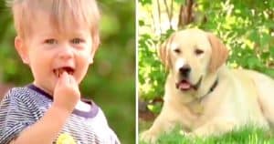 Kid Refuses Presents For His 5th Birthday, Instead Raises $400 For Animal Shelter