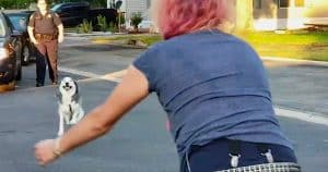 Woman Never Thought She’d See Her Husky Again And 2-Years Later He Comes Running Back